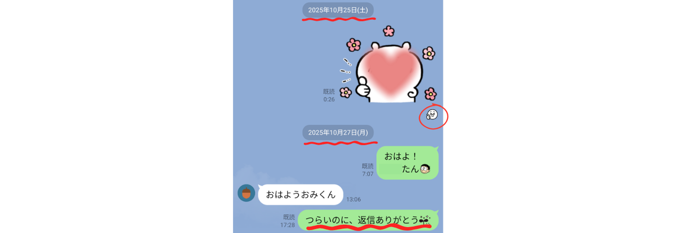 双極性障害の彼女から返信が来た後、送りすぎず感謝だけを伝えるLINE風のやり取り